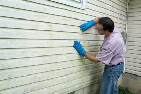 Best Vinyl Siding Installation  in Tatamy, PA